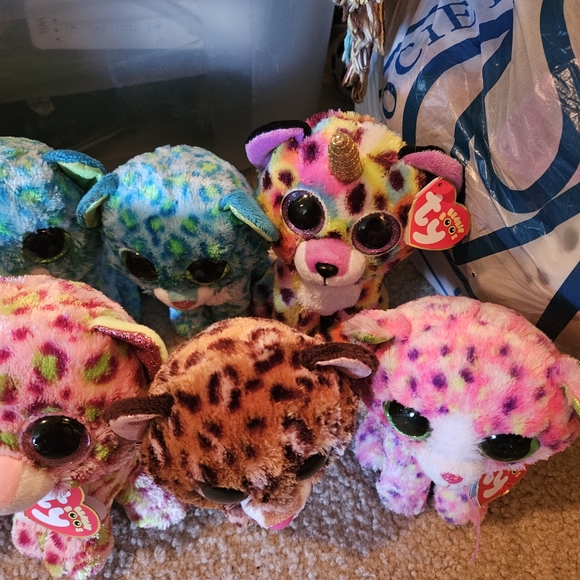 Lot Of 13 Beanie Boo Plush Leopard Cats Glamour, Lainey, Leona, Freckles Used. - Picture 2 of 12